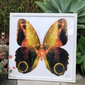 Butterfly Art Print